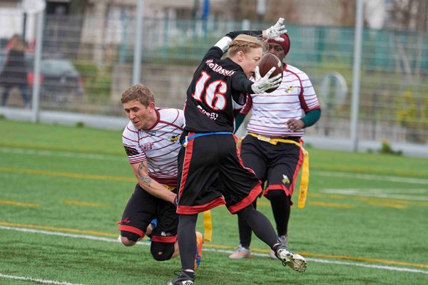 Duel au sommet de la Zone Nord-Ouest entre Molosses et Crazy Bees