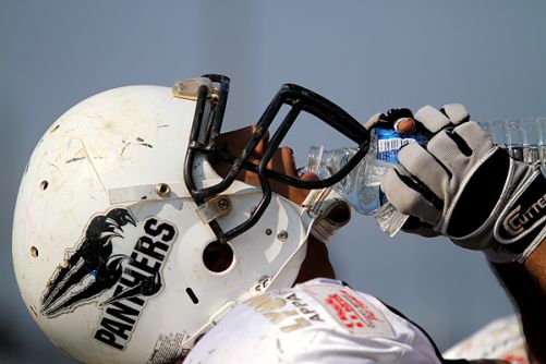 Bulldogs v <a href='/france/thonon-les-bains-black-panthers'>Black Panthers</a> Juniors