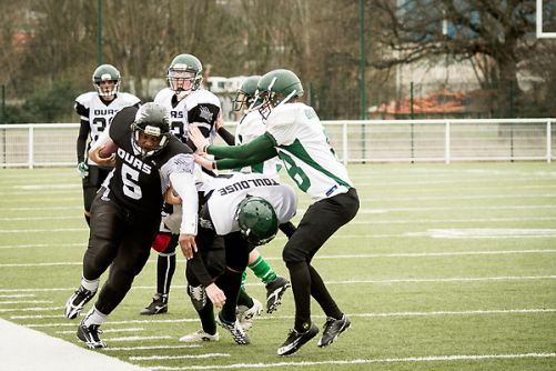 Ours v Gerfauts