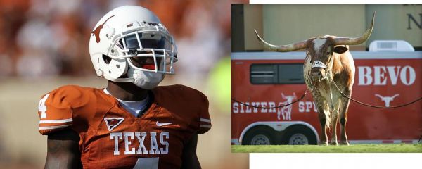 L'uniforme des Longhorns et leur mascotte BEVO