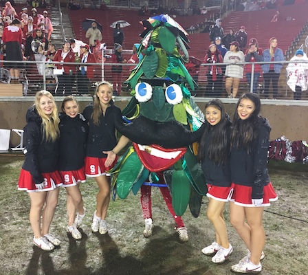  <em>Le Stanford Tree, bien entour par les Dollies</em>