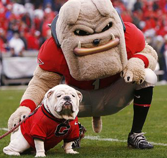 Go Dawgs !