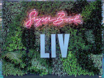 Super Bowl LIV